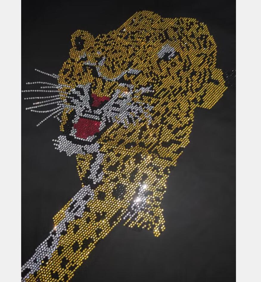 Conjuto Curto Philipp Plein