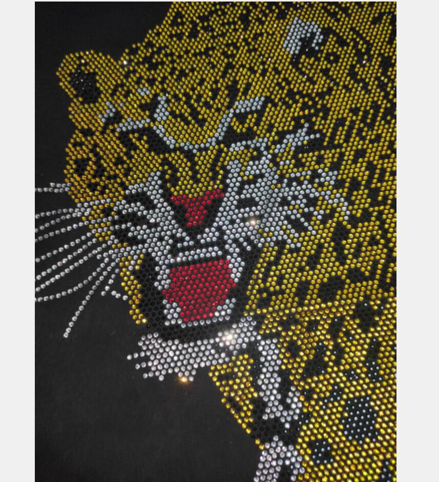 Conjuto Curto Philipp Plein