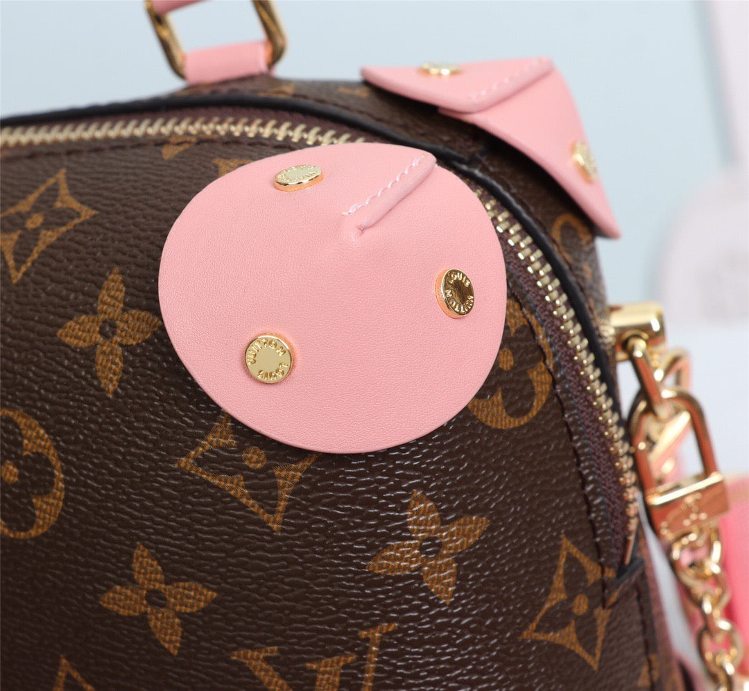 Bag LV